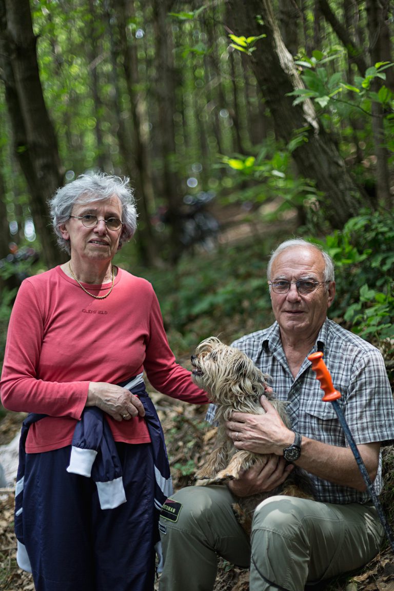 Gli animali del bosco
