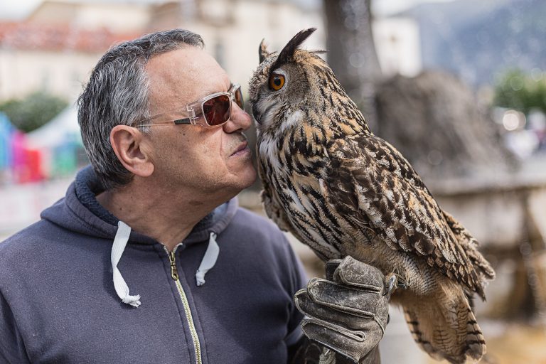 La tradizione della falconeria